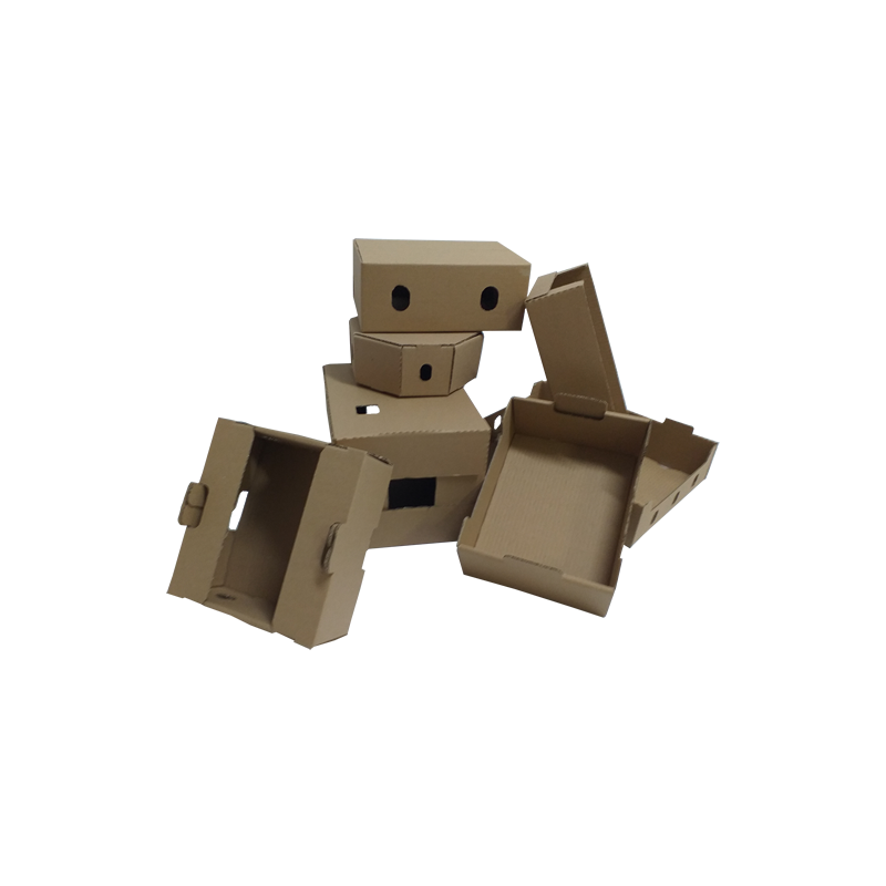 files1.png